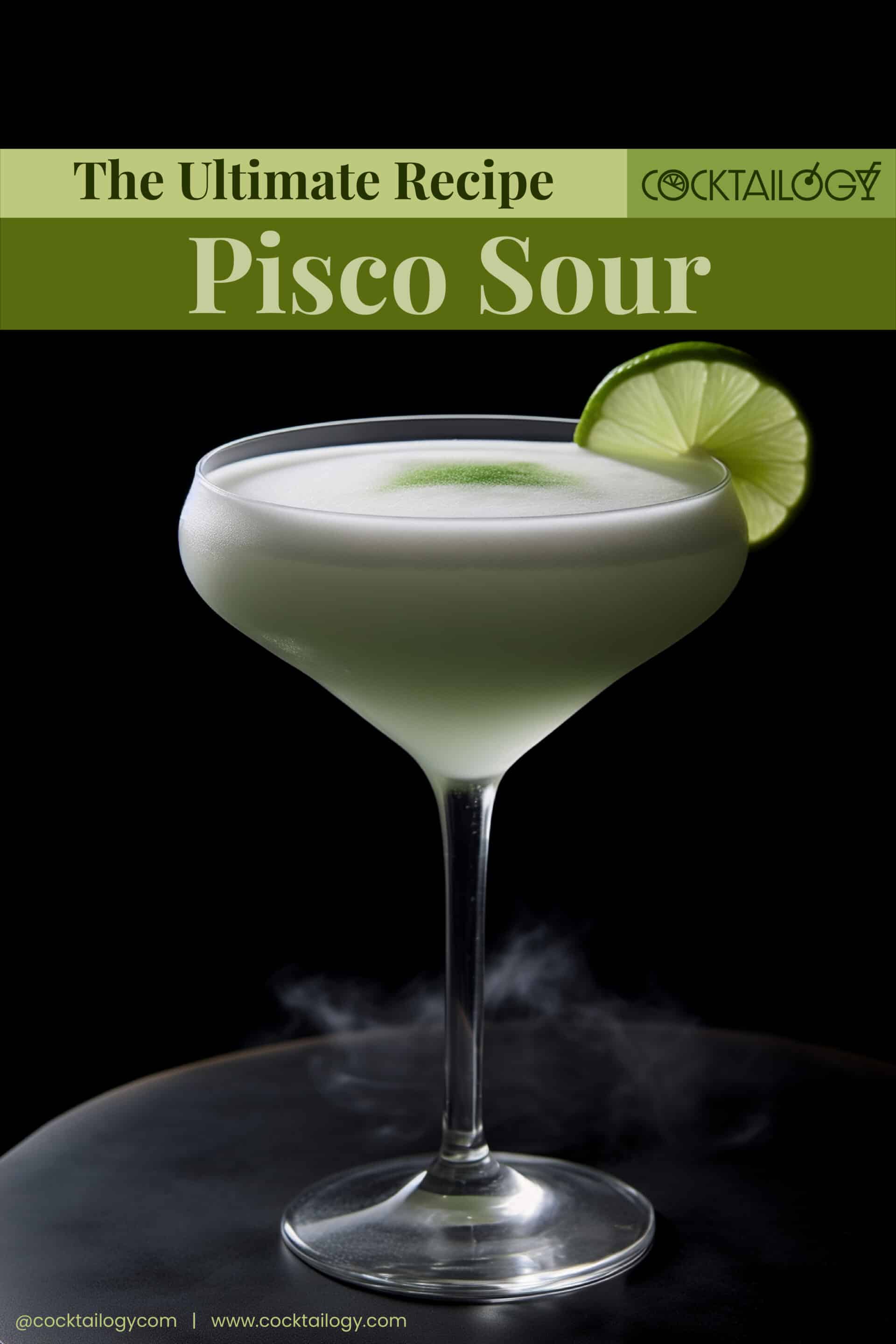 Pisco Sour Cocktail